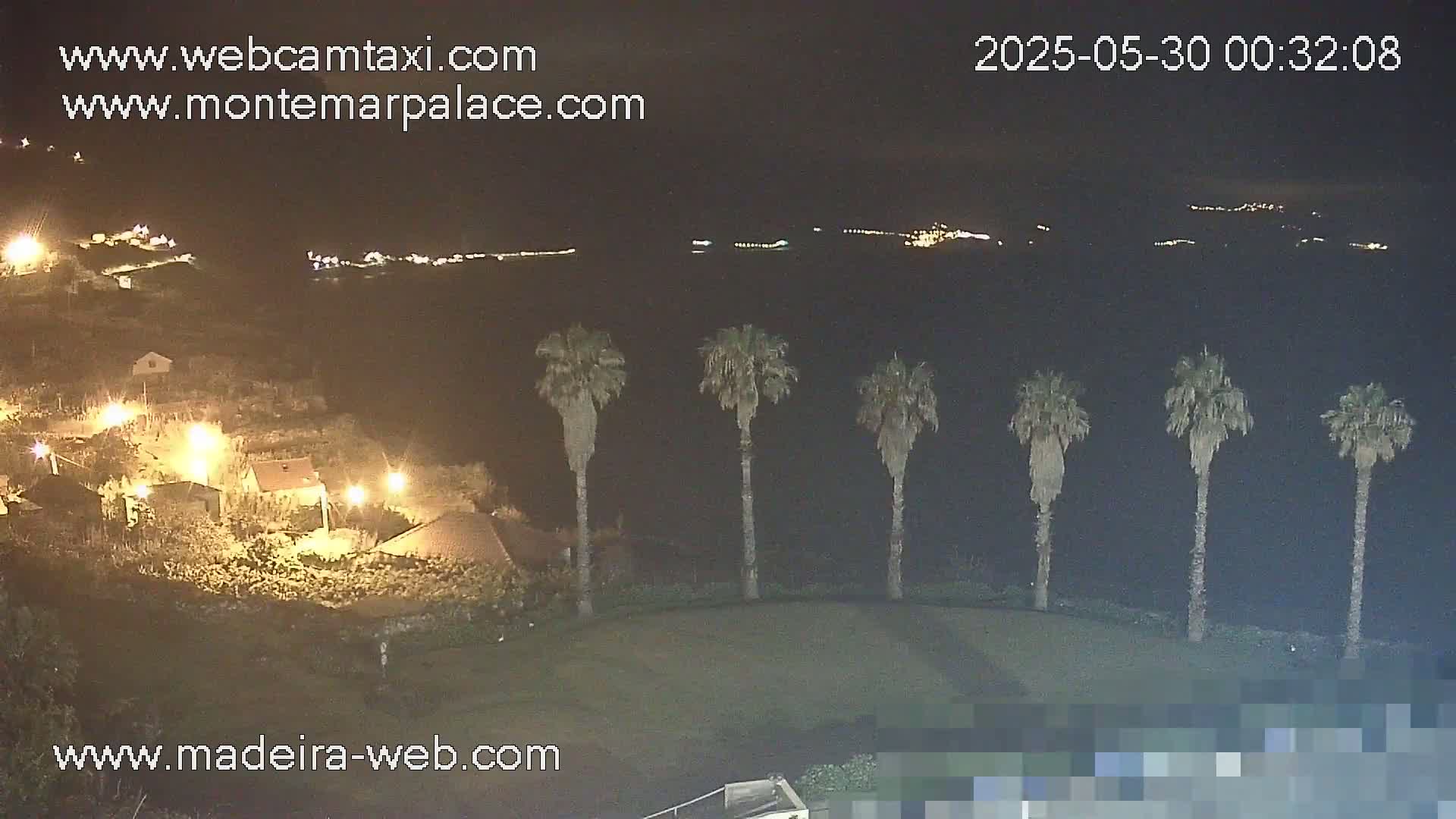 A nighttime, coastal scene shows several palm trees silhouetted against a dark body of water with distant lights on the opposite shore, and illuminated buildings and structures in the foreground.