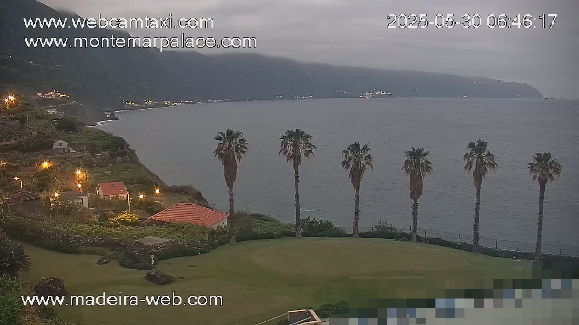 A coastal scene on an overcast day shows a row of palm trees on a grassy lawn overlooking a calm ocean and distant mountains.
