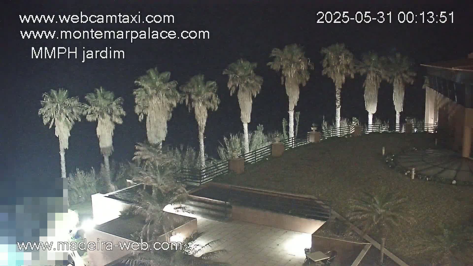 A nighttime view of a landscaped area with palm trees, a building, and a low-lying structure, possibly a pool or fountain.