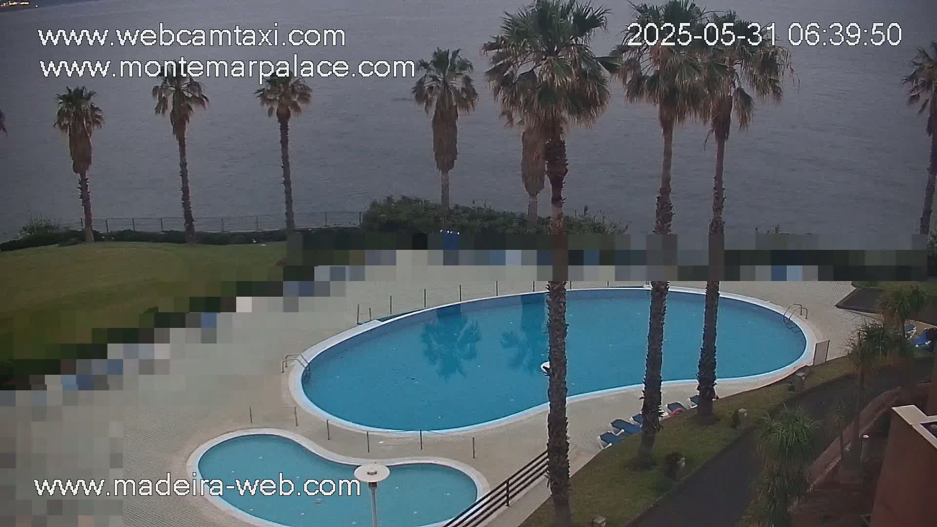 An outdoor kidney-shaped swimming pool with a smaller adjacent pool is situated near palm trees and a calm body of water under an overcast sky.