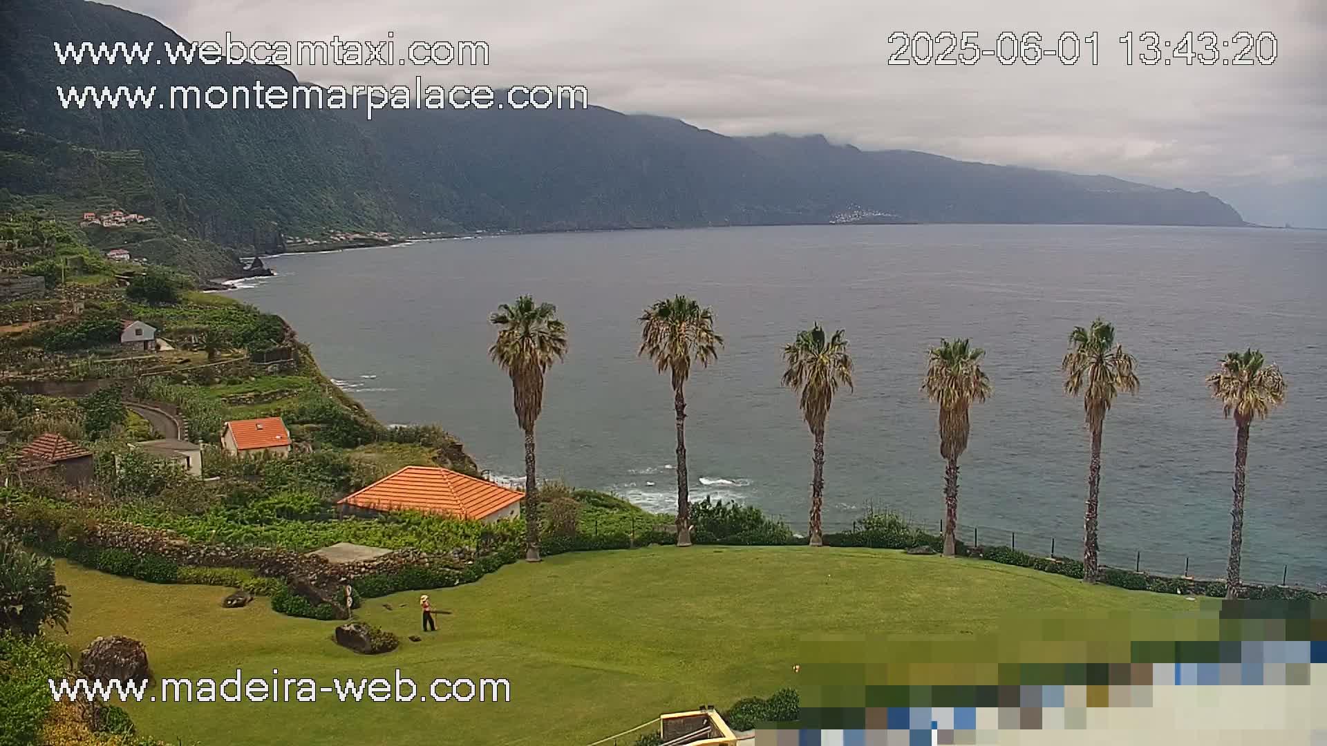 A coastal scene on an overcast day shows a calm ocean, a row of palm trees on a grassy lawn overlooking a cliffside with houses and terraced gardens.