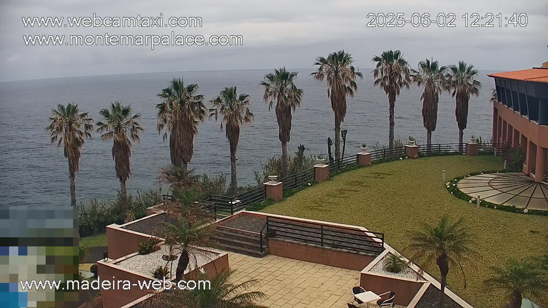 A coastal resort with palm trees overlooks a calm ocean under an overcast sky.
