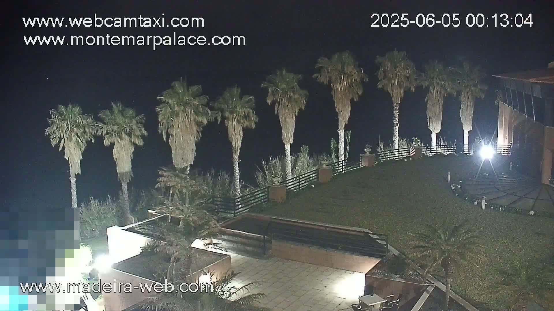 A nighttime view of a grassy courtyard with palm trees, a building, and a pool area under a clear, dark sky.