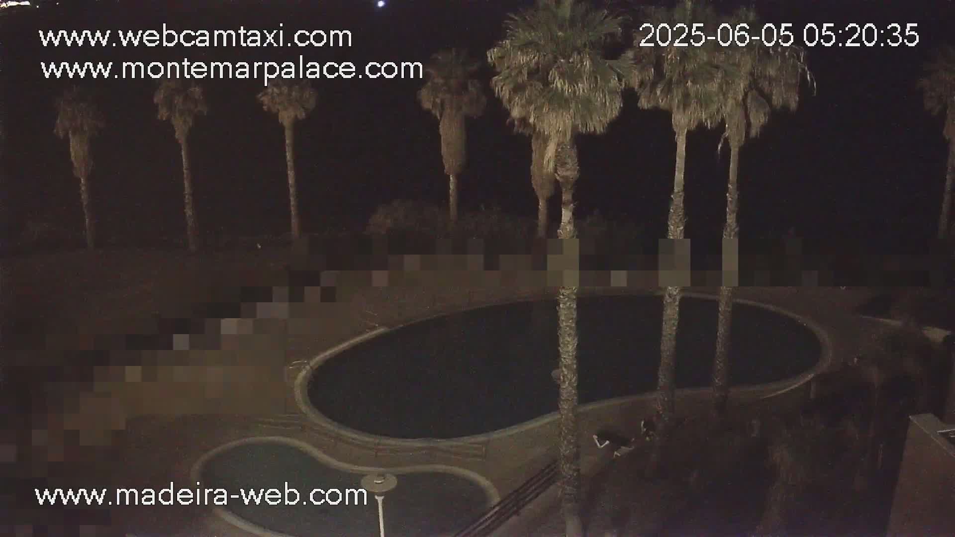 A nighttime, high-angle view shows a kidney-shaped swimming pool surrounded by palm trees under a dark sky.