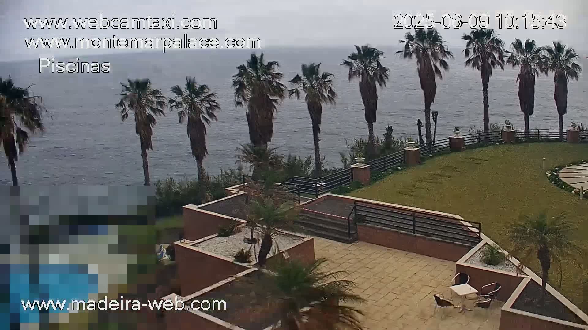 An overcast day reveals a patio area with palm trees and a view of the ocean, partially obscured by a fence and landscaping.