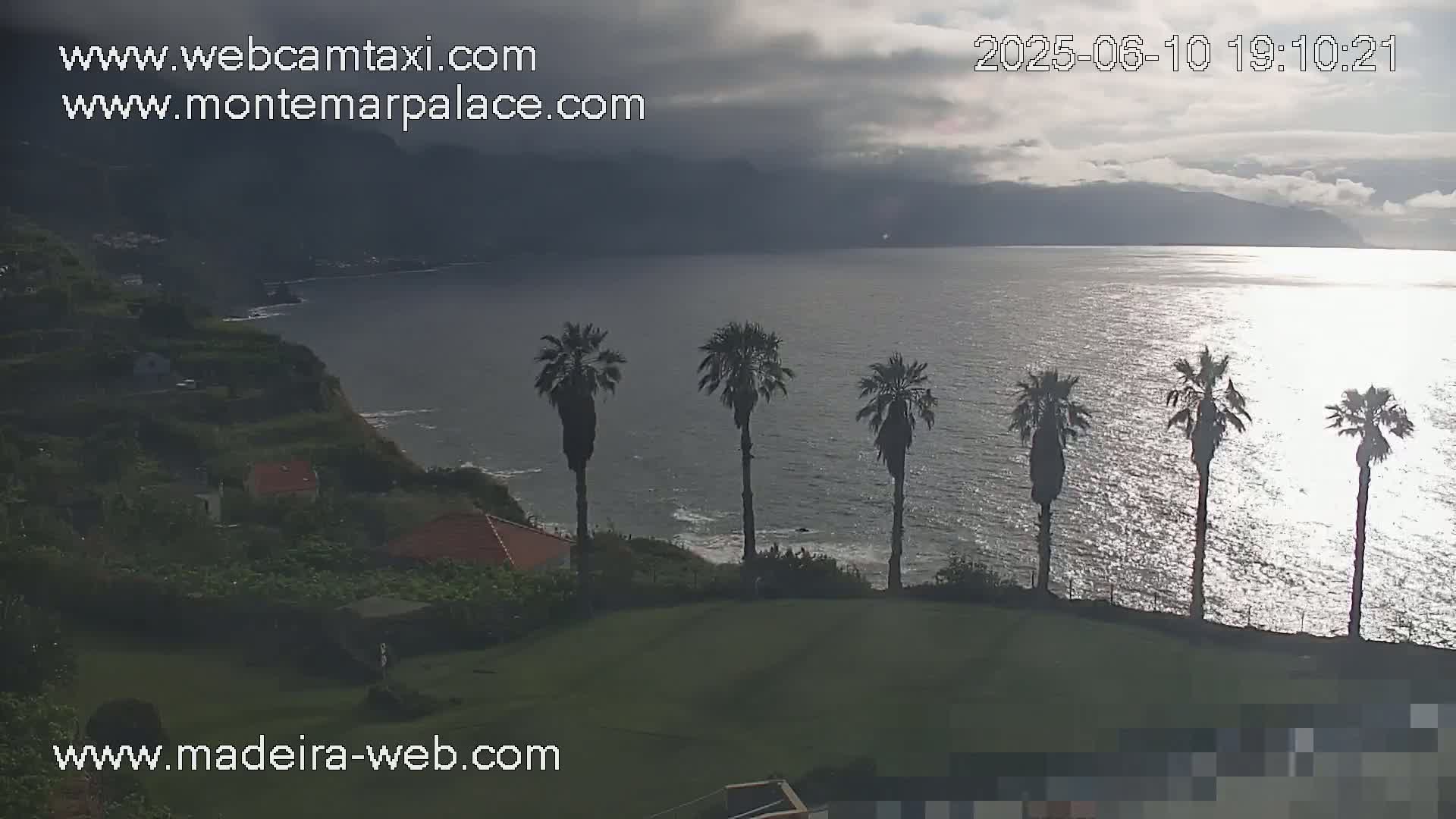 A coastal scene under a cloudy sky shows a calm ocean, several palm trees silhouetted against the water, and a grassy area with houses nestled into a hillside.