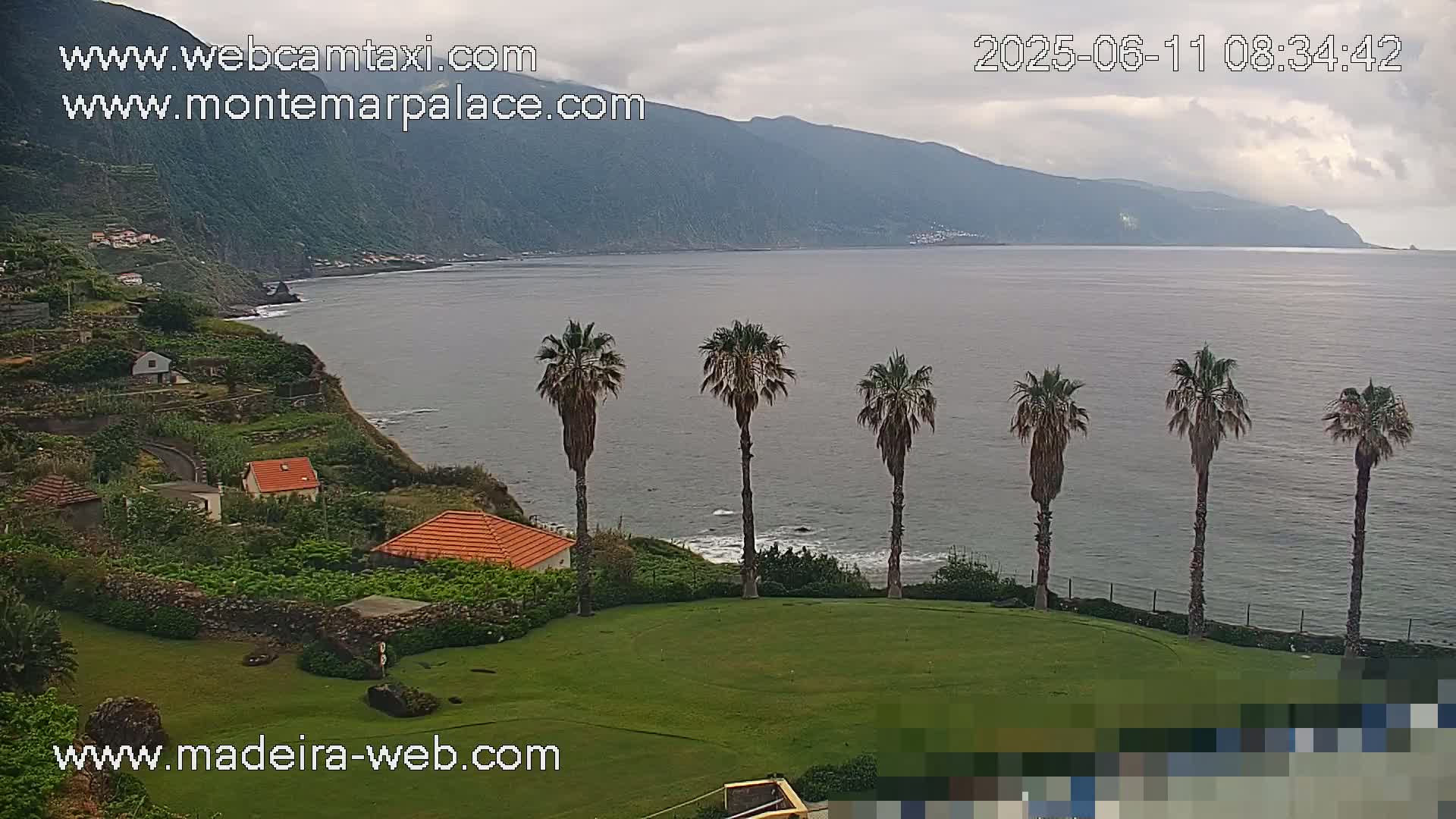 A coastal scene on an overcast day shows several palm trees on a grassy area overlooking a calm ocean with a mountainous coastline in the distance.