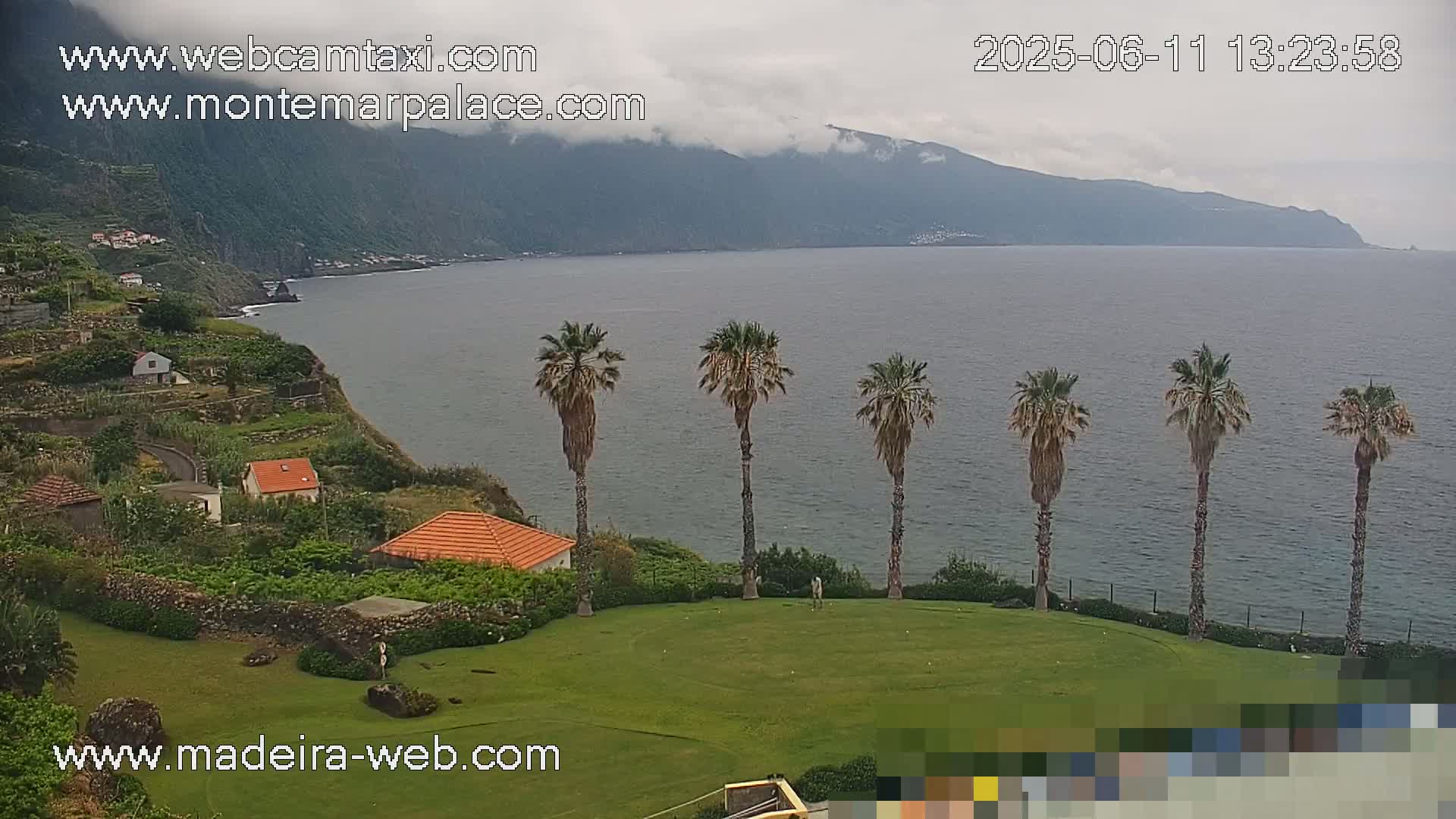 A coastal scene on an overcast day shows a calm ocean, a grassy area with several palm trees, and houses nestled on a hillside overlooking the water.