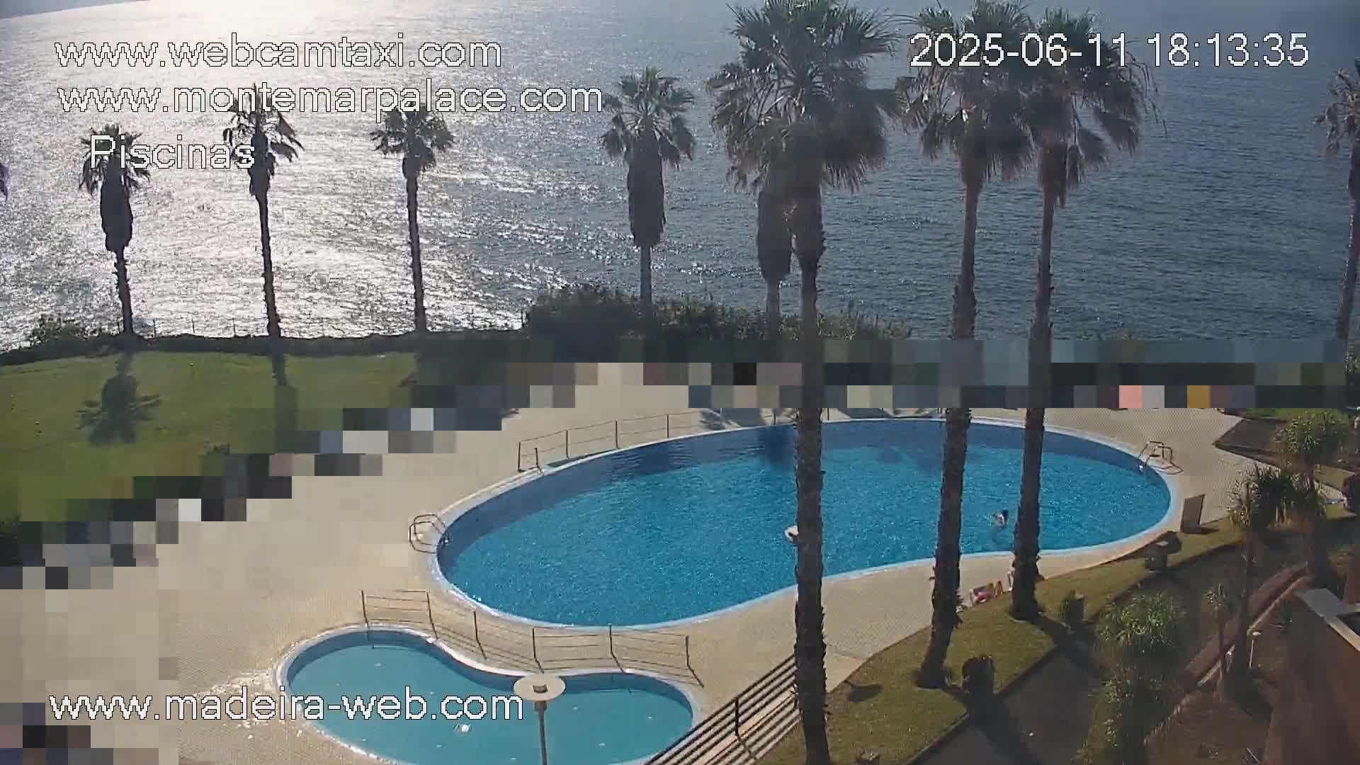 An outdoor kidney-shaped swimming pool and a smaller adjacent pool are situated on a grassy area overlooking a calm ocean, with several palm trees in the foreground.