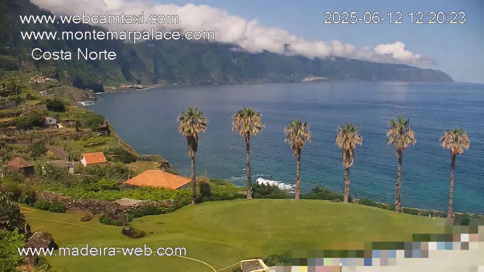 A coastal view shows a row of palm trees on a grassy hill overlooking a calm ocean, with mountains in the distance under partly cloudy skies.