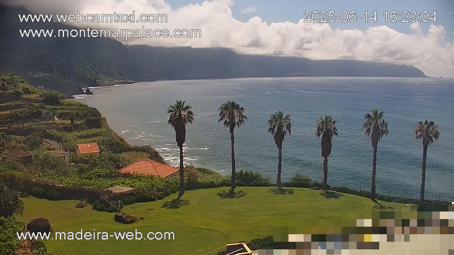 A partly cloudy day overlooking a calm ocean, with a grassy lawn, several palm trees, and houses nestled into a hillside.