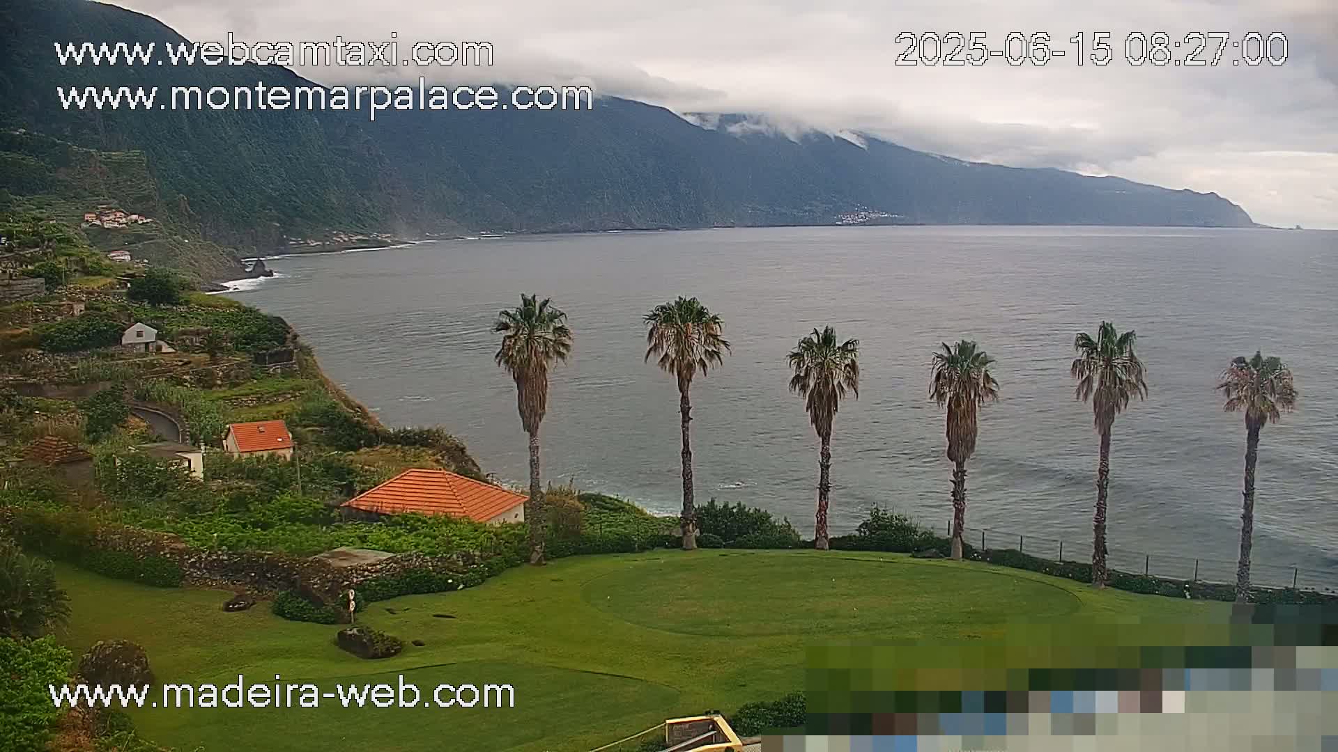 A coastal view on an overcast day shows a calm ocean, several palm trees on a grassy area, and houses nestled into a hillside overlooking the water.