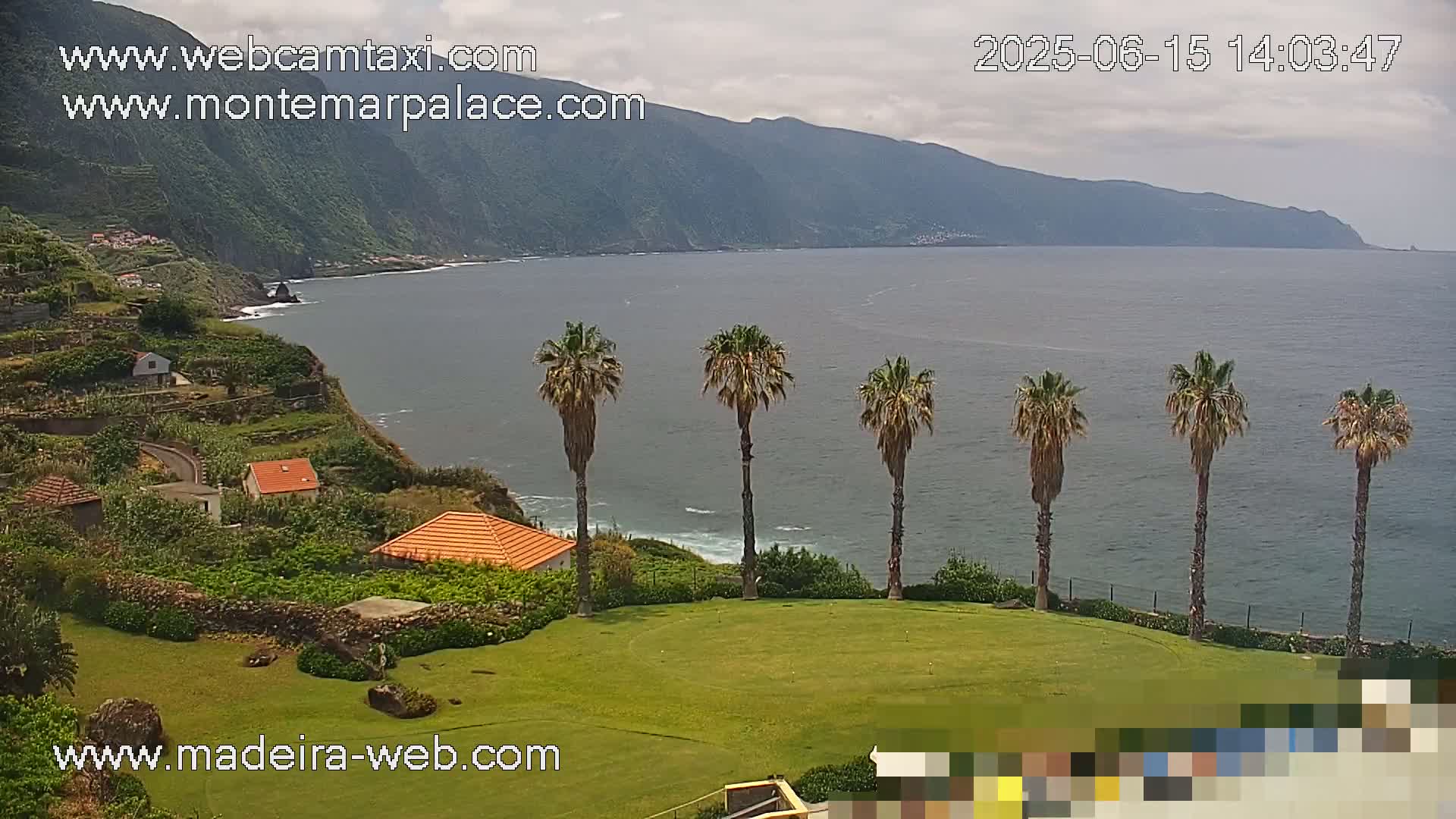 A coastal view on a partly cloudy day shows a green lawn with several palm trees overlooking a calm ocean and a mountainous shoreline with terraced homes.
