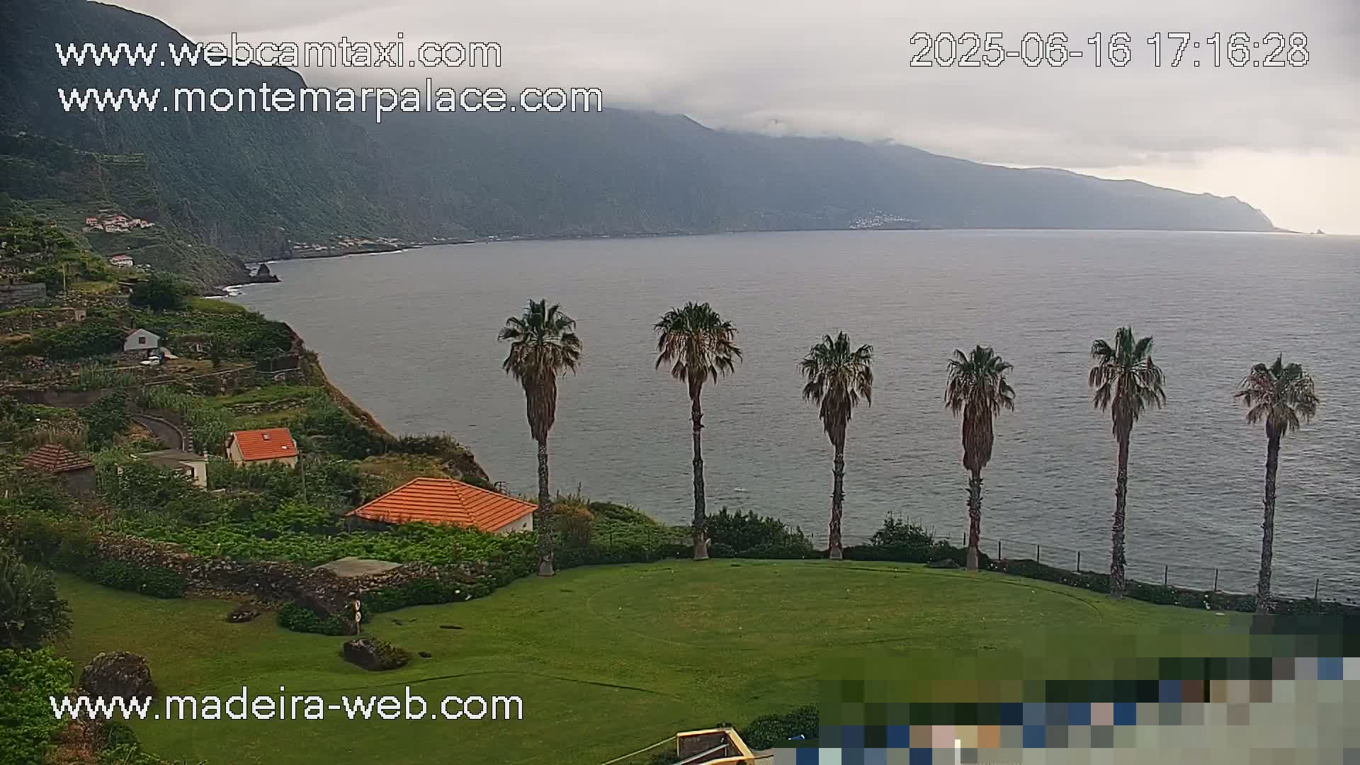 A coastal view on an overcast day shows a calm ocean, a rocky hillside with houses and terraced gardens, and several palm trees near a grassy area.