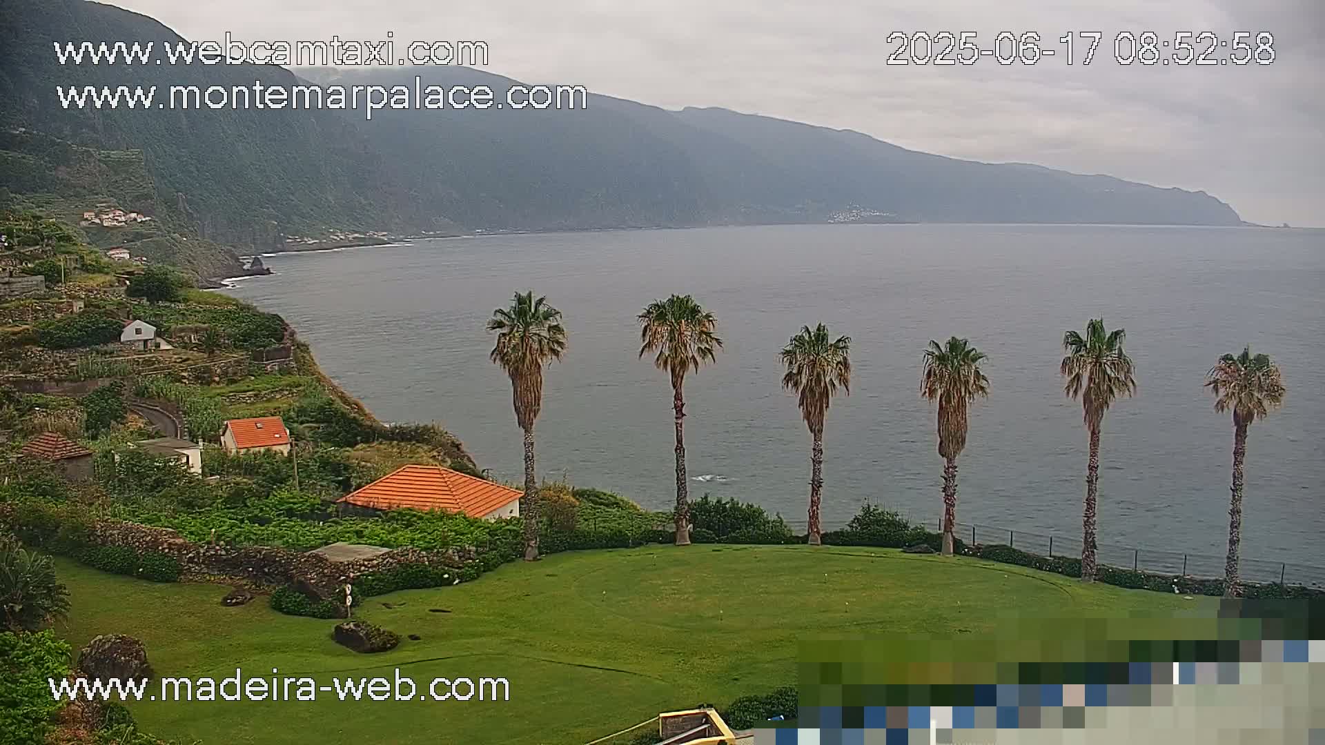 A coastal scene with overcast skies shows several palm trees on a grassy area overlooking a calm ocean and a mountainous region.
