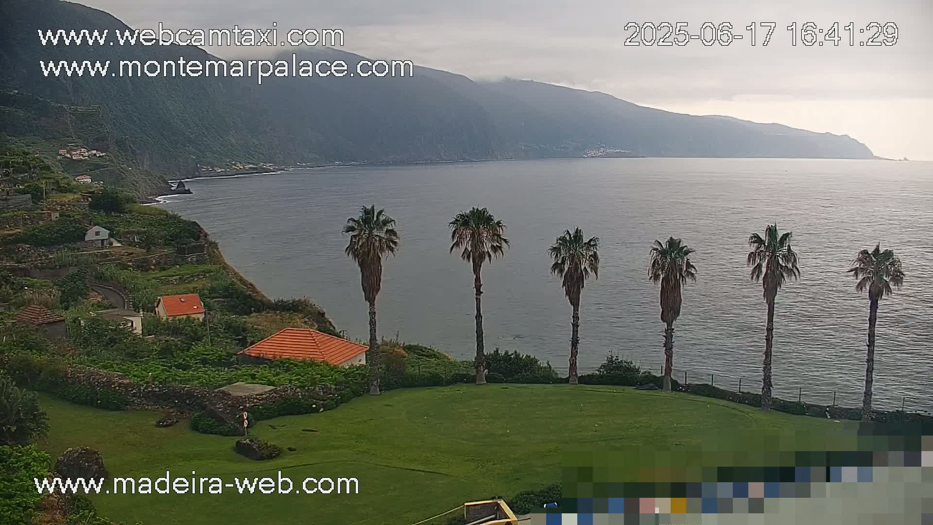 A coastal scene under overcast skies shows a grassy area with several palm trees overlooking a calm ocean and a mountainous coastline.