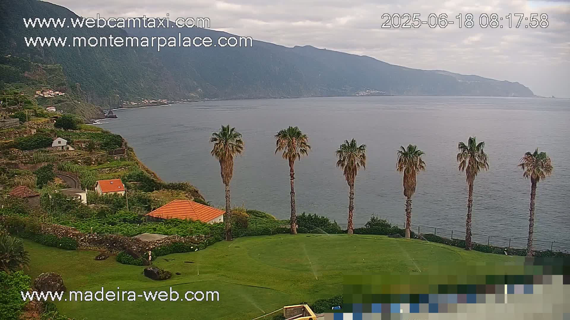 A coastal scene shows a grassy area with several palm trees overlooking a calm ocean and a mountainous coastline under overcast skies.