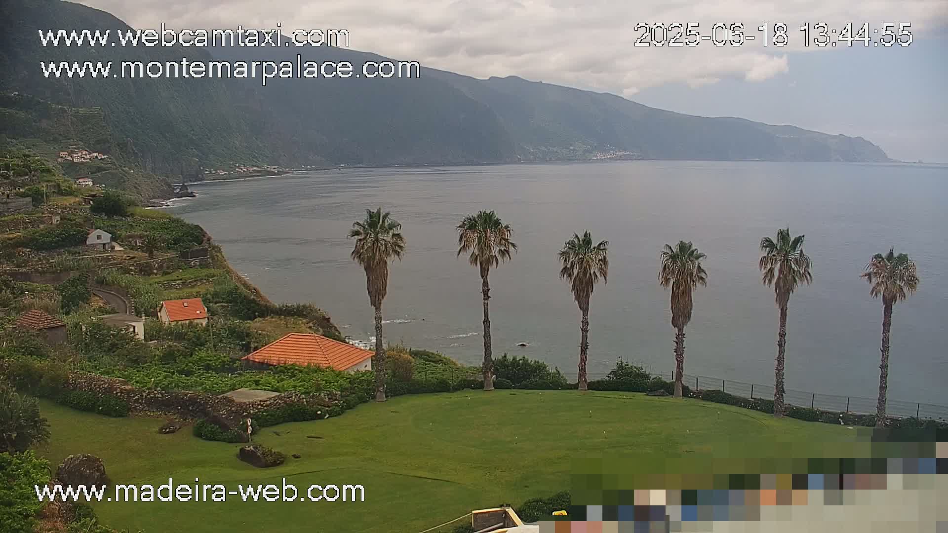 A coastal scene on a partly cloudy day shows a grassy area with several palm trees overlooking a calm ocean and a mountainous coastline.