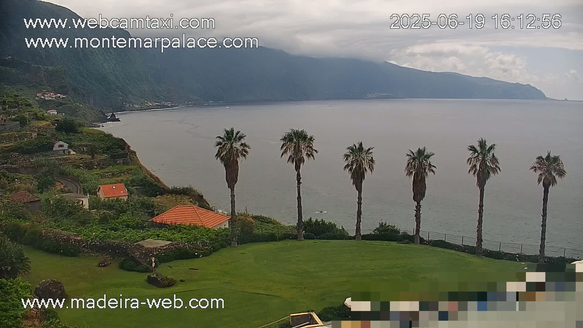 A coastal scene with overcast skies shows a calm ocean, a verdant lawn with several palm trees, and hillside buildings nestled into terraced land.