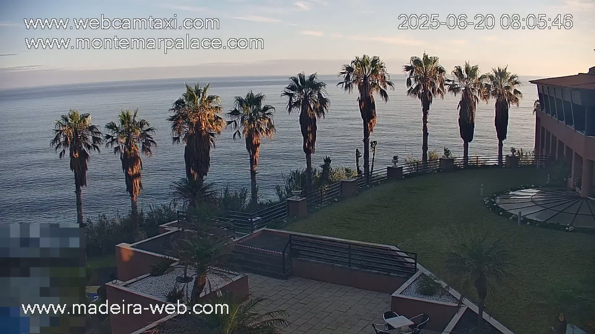 A calm ocean is visible beyond a grassy courtyard with palm trees, a building, and patio furniture at sunset.