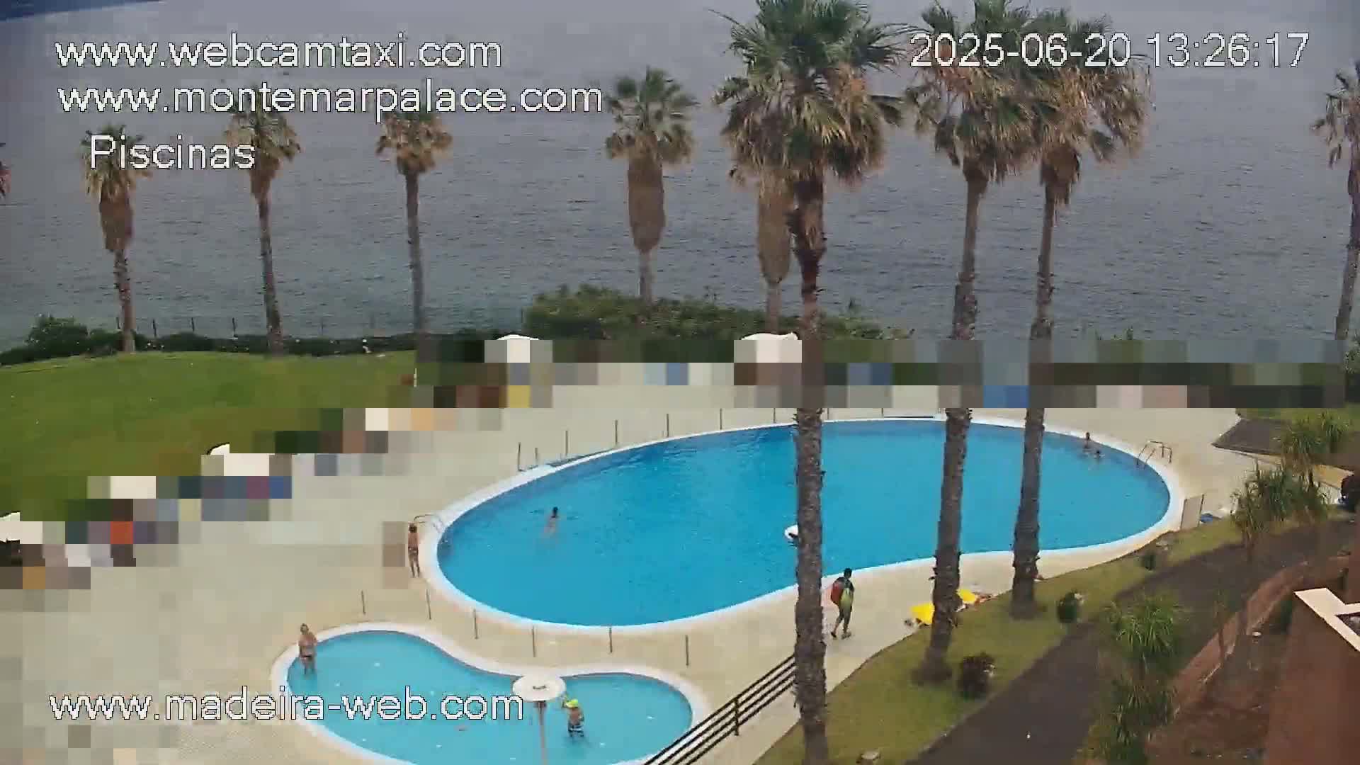 An overhead view shows a kidney-shaped swimming pool and a smaller adjacent pool surrounded by palm trees and grassy areas, overlooking a calm body of water on an overcast day.
