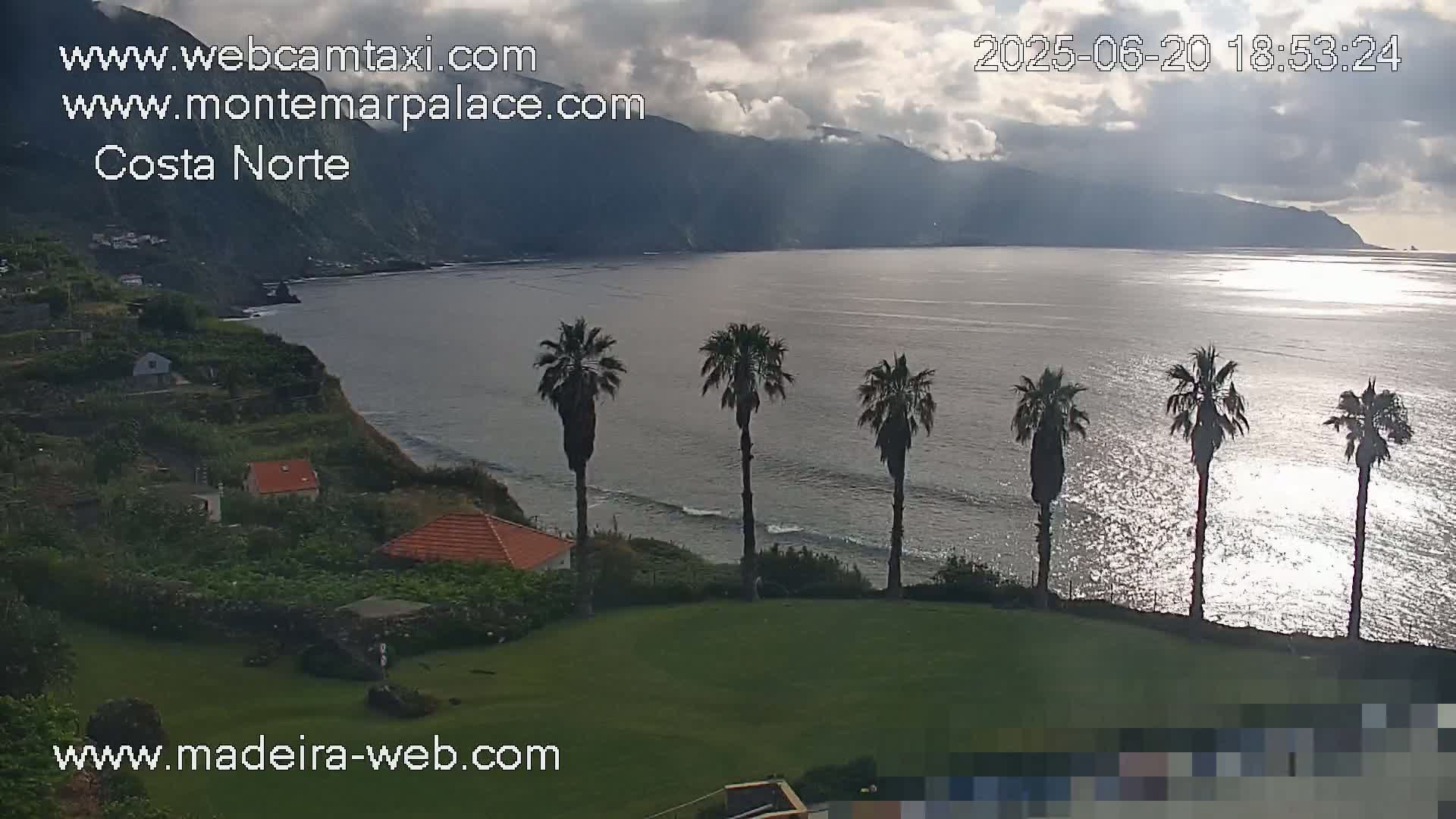 A coastal scene shows a calm ocean reflecting sunlight under a partly cloudy sky, with several palm trees on a grassy area overlooking the water and a distant mountainous coastline.