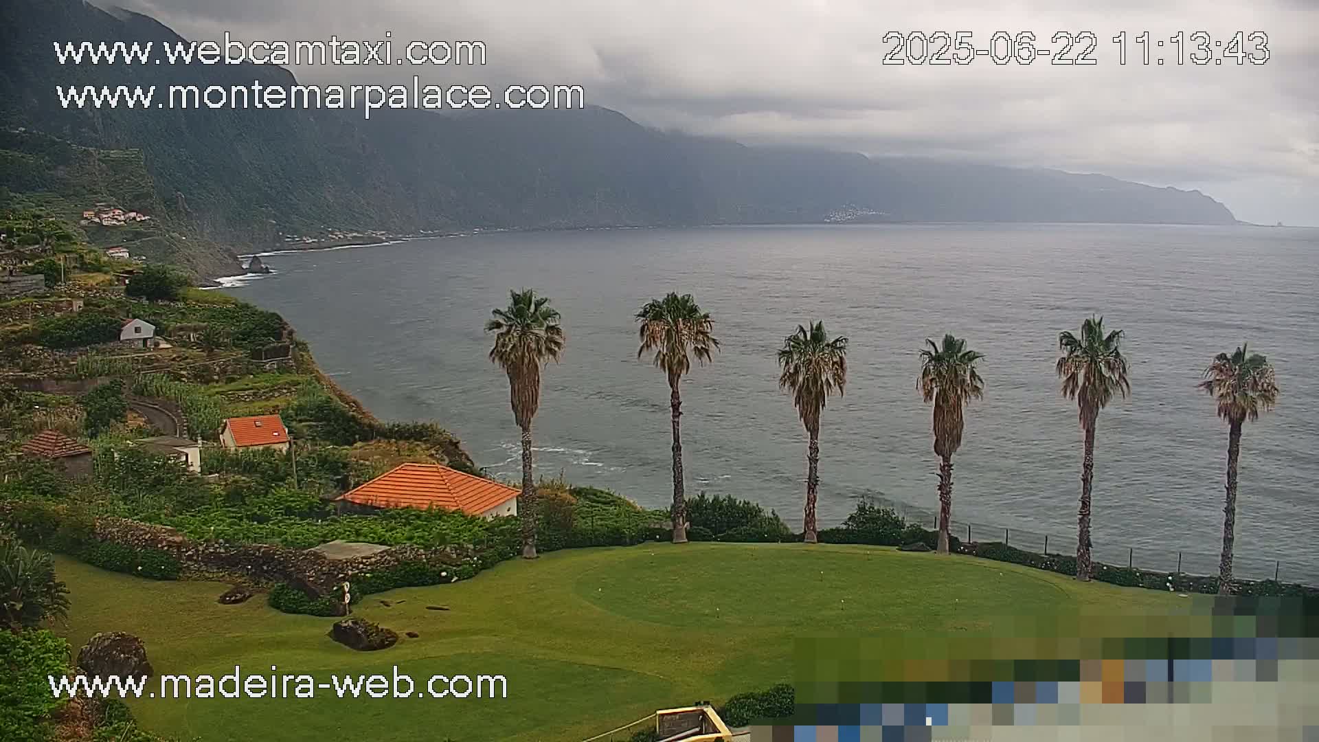 A coastal scene under overcast skies shows a green lawn with several palm trees overlooking a calm ocean and a mountainous cliffside with small houses.