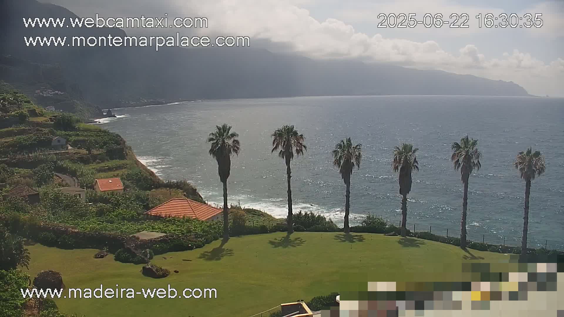 A coastal view shows a grassy lawn with several palm trees overlooking a calm ocean and terraced hillside with houses under a partly cloudy sky.
