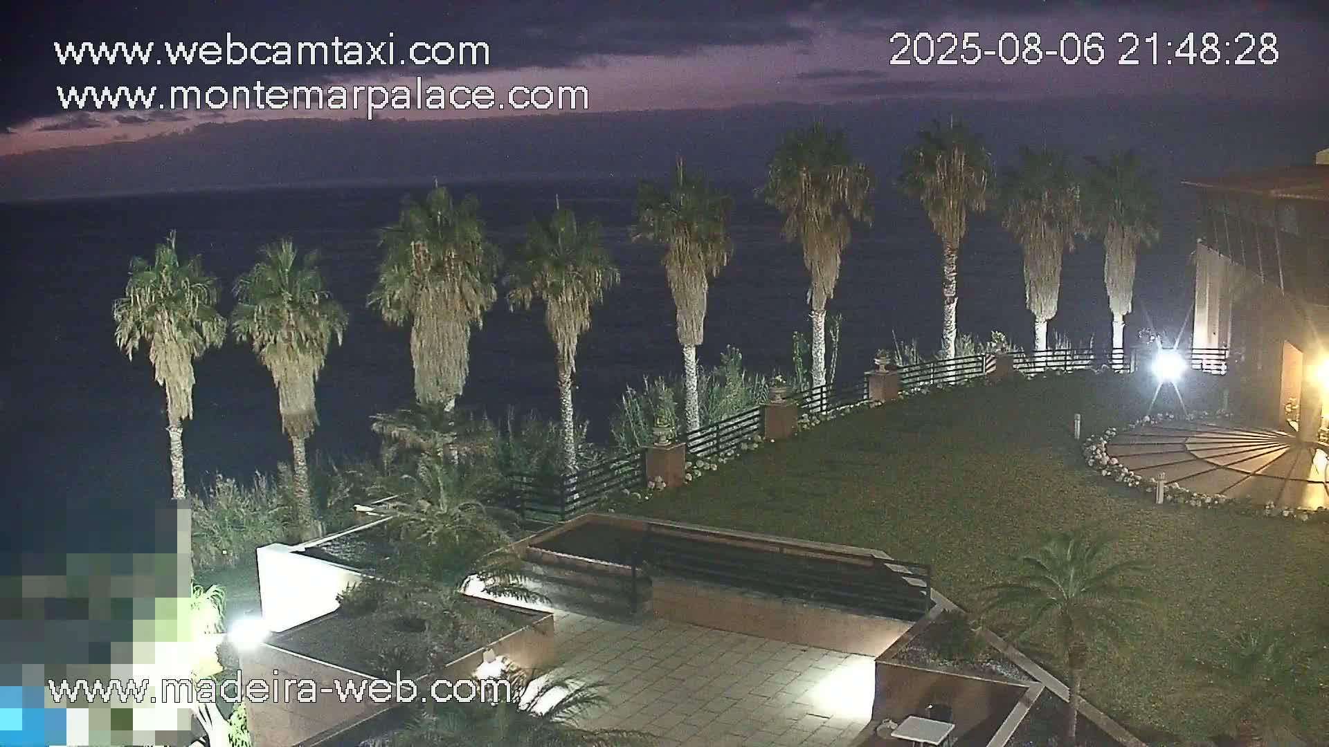 A nighttime view of a grassy area with palm trees overlooking a dark ocean under a twilight sky.
