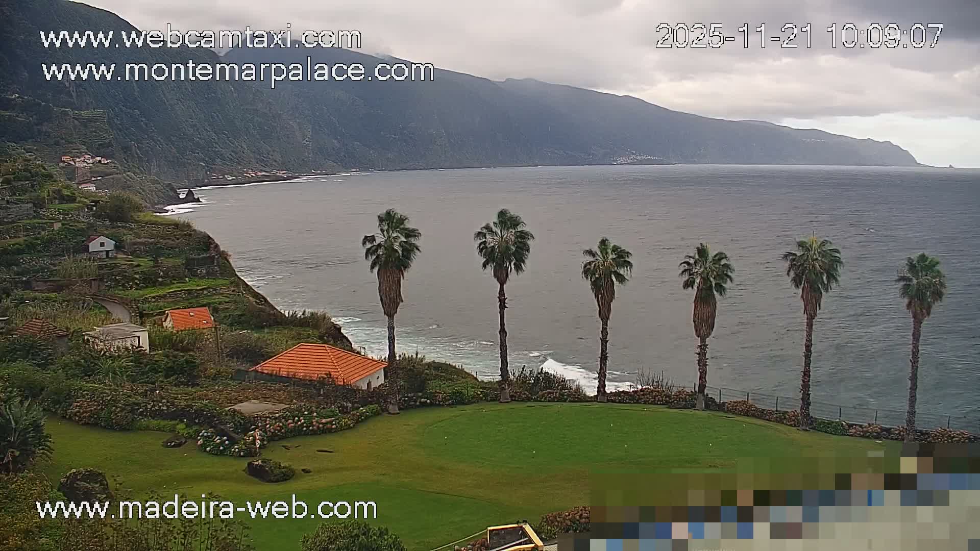 A panoramic view reveals a lush green lawn and several tall palm trees in the foreground, overlooking a choppy ocean with white waves crashing against a steep, mountainous coastline dotted with scattered houses under an overcast sky.