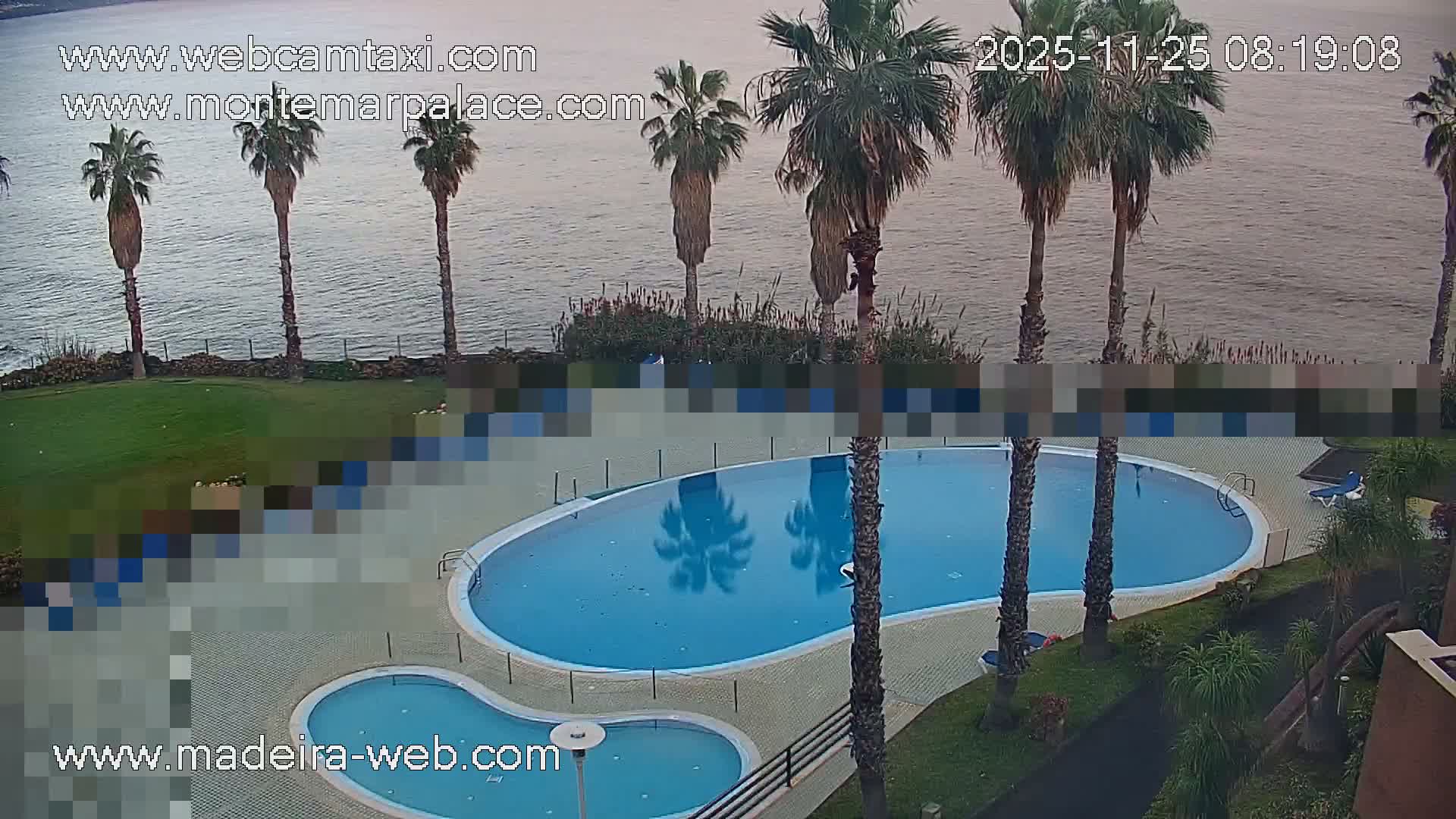 An outdoor resort scene features two tranquil blue swimming pools surrounded by green lawns and numerous tall palm trees, set against a calm, gray sea under an overcast sky.