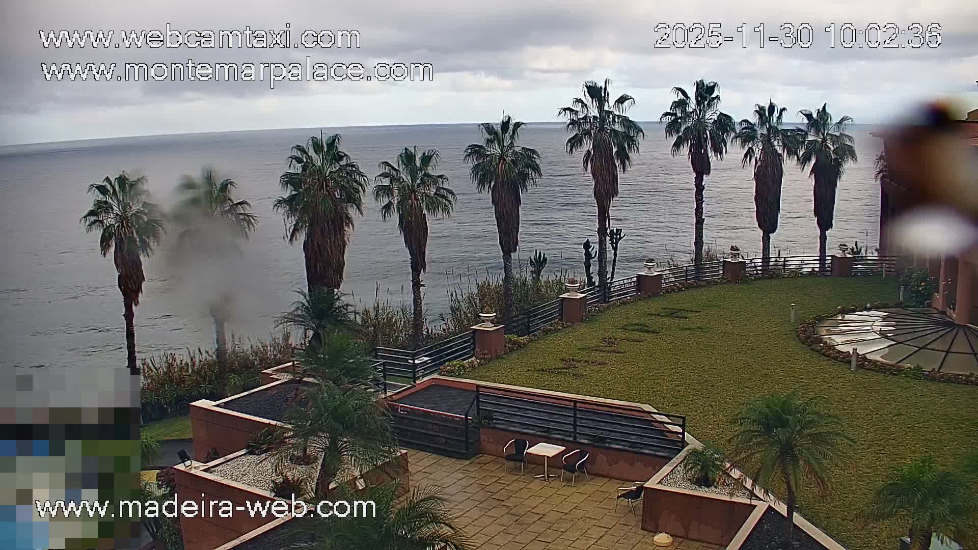 Under a cloudy sky, a misty coastal scene shows a line of tall palm trees overlooking a calm grey ocean, with a manicured green lawn and a tiled patio occupying the foreground beside a building.