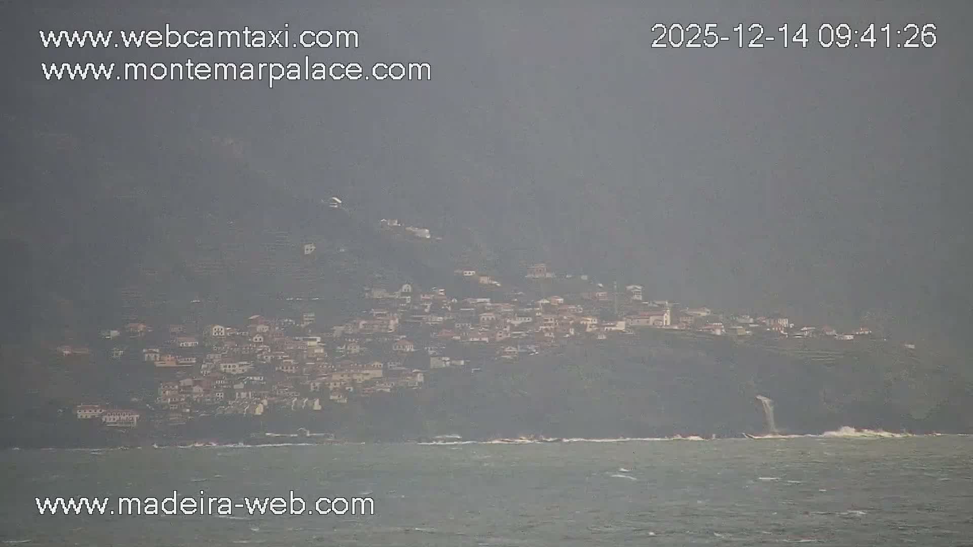 Under a cloudy sky, a misty coastal scene shows a line of tall palm trees overlooking a calm grey ocean, with a manicured green lawn and a tiled patio occupying the foreground beside a building.