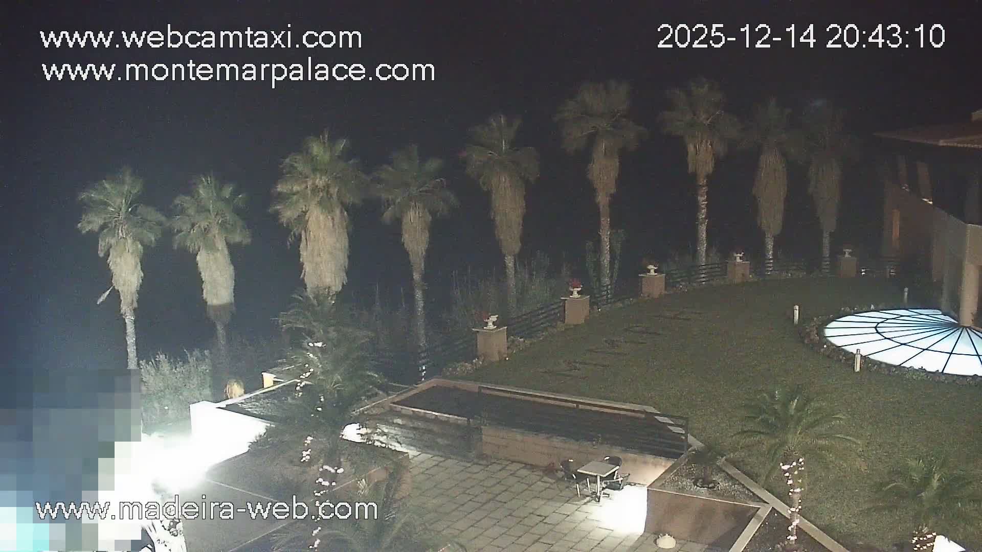 Under a cloudy sky, a misty coastal scene shows a line of tall palm trees overlooking a calm grey ocean, with a manicured green lawn and a tiled patio occupying the foreground beside a building.