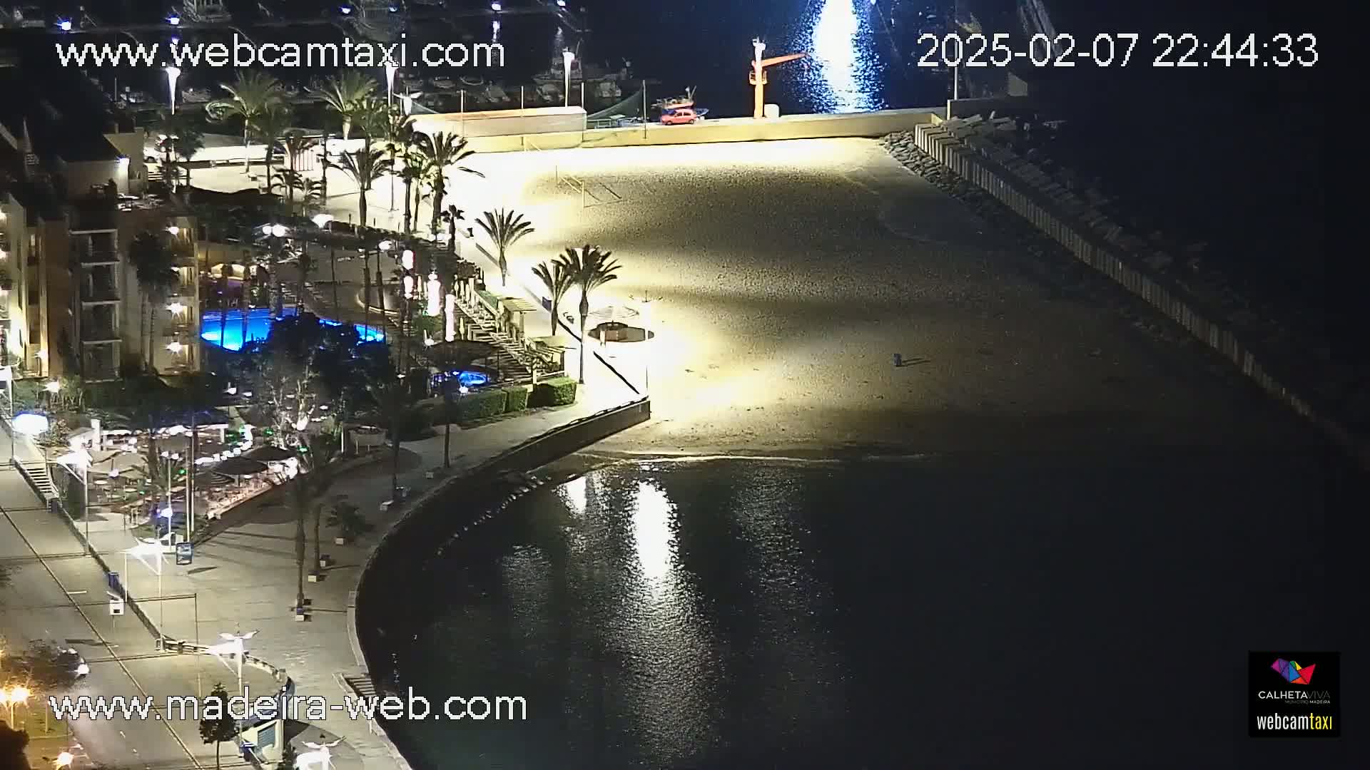 A nighttime view of a beach with palm trees, a building with a pool, and calm water reflecting lights.