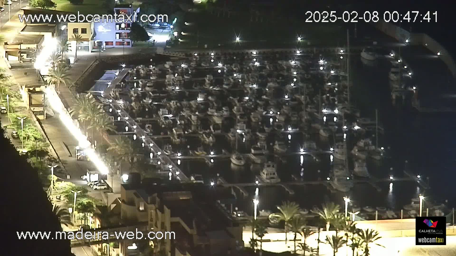 A nighttime, aerial view of a marina filled with many boats, illuminated by lights, next to a roadway with vehicles.
