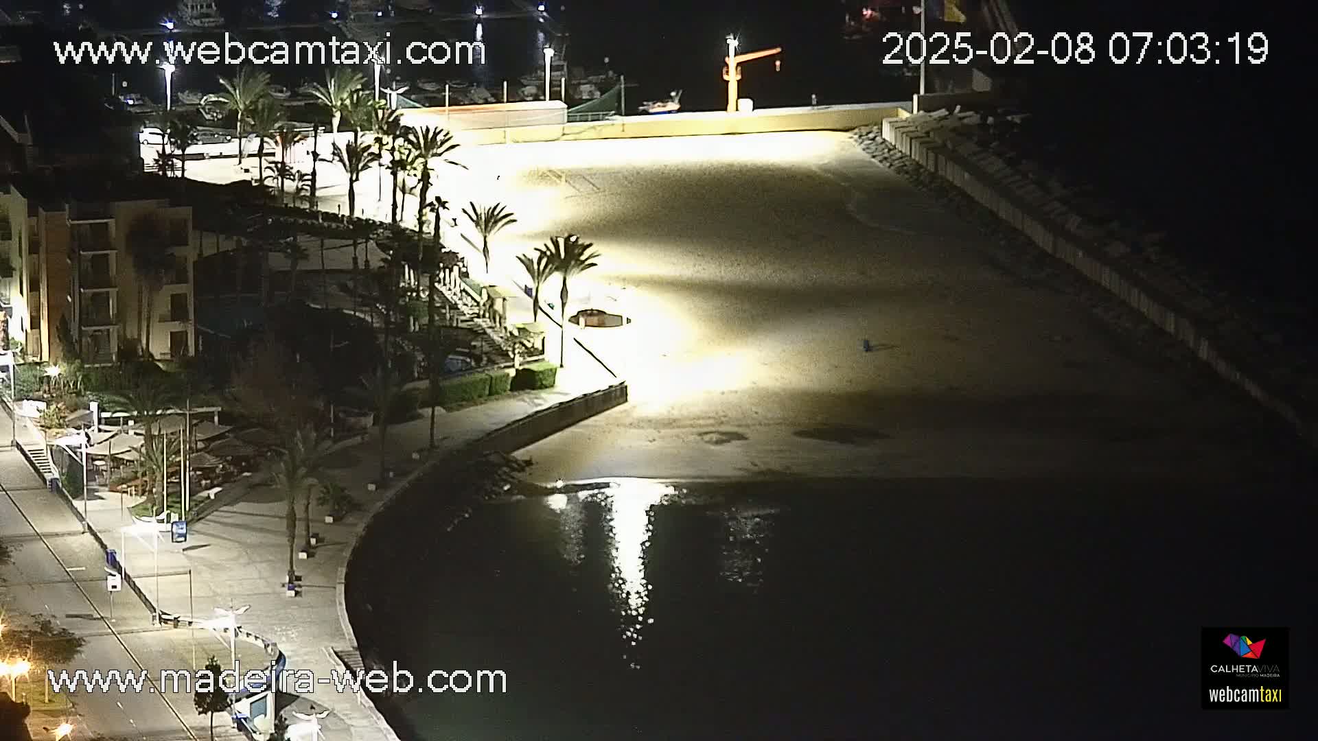 An empty, brightly lit sandy beach at night next to a calm body of water, palm trees, and buildings, under a clear, dark sky.