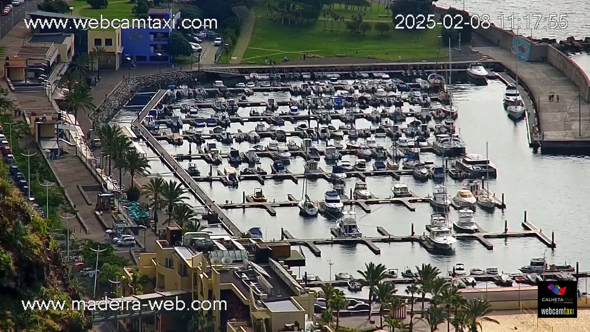 A marina filled with numerous boats and yachts is situated next to a waterfront walkway and buildings, under a clear sky.