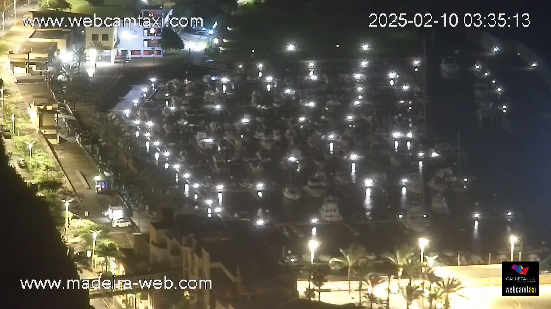 A nighttime aerial view of a marina filled with numerous boats, illuminated by lights, with palm trees and buildings visible in the surrounding area.
