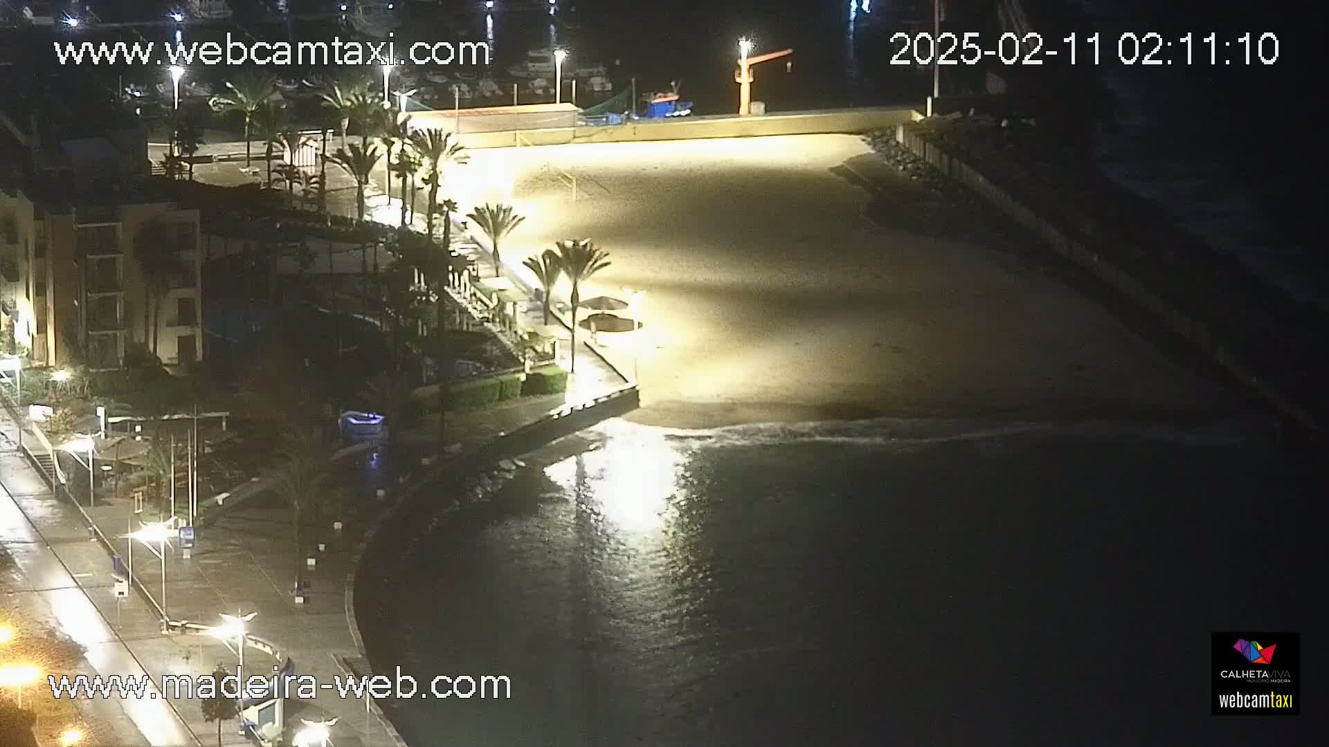 A nighttime, overhead view of a mostly empty beach at the edge of a calm body of water, next to a building and palm trees, under slightly overcast conditions.