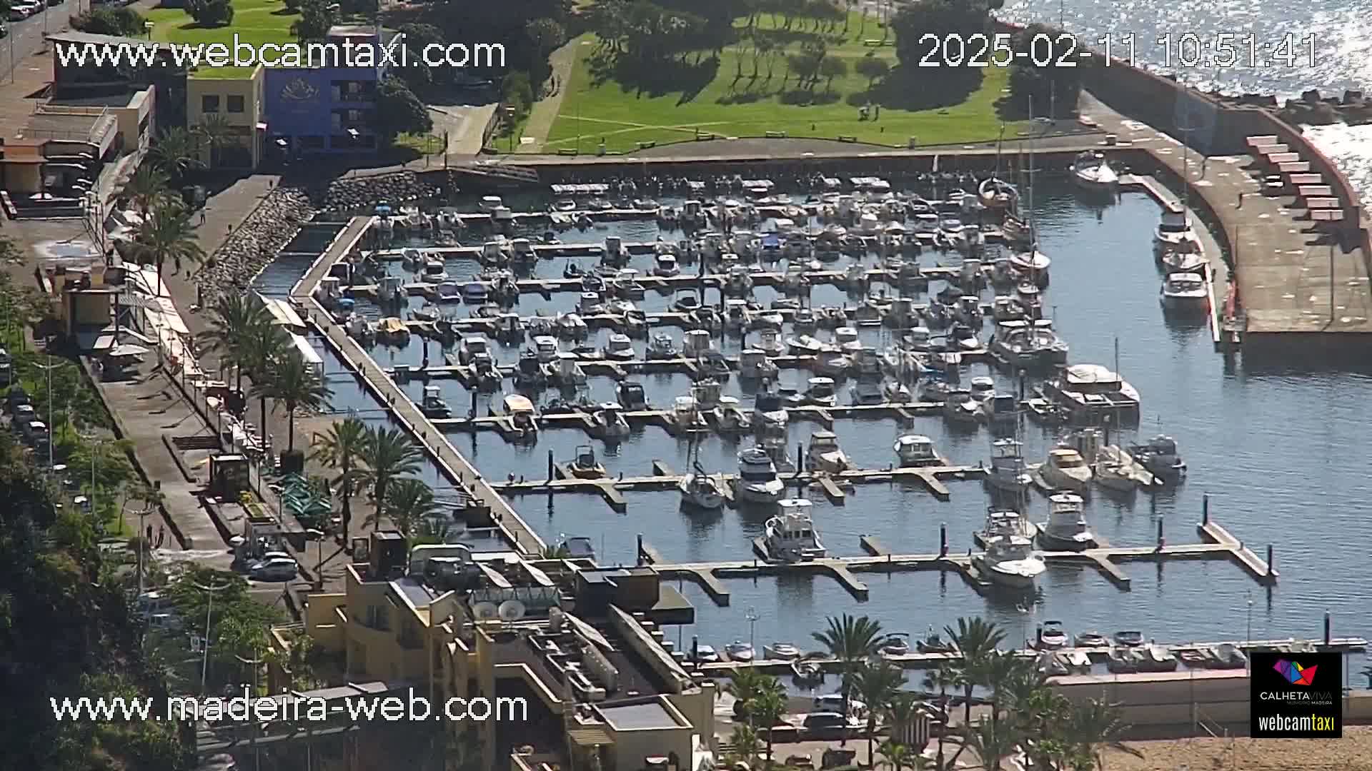 A marina filled with numerous boats is situated next to a paved walkway and buildings, under a sunny sky.