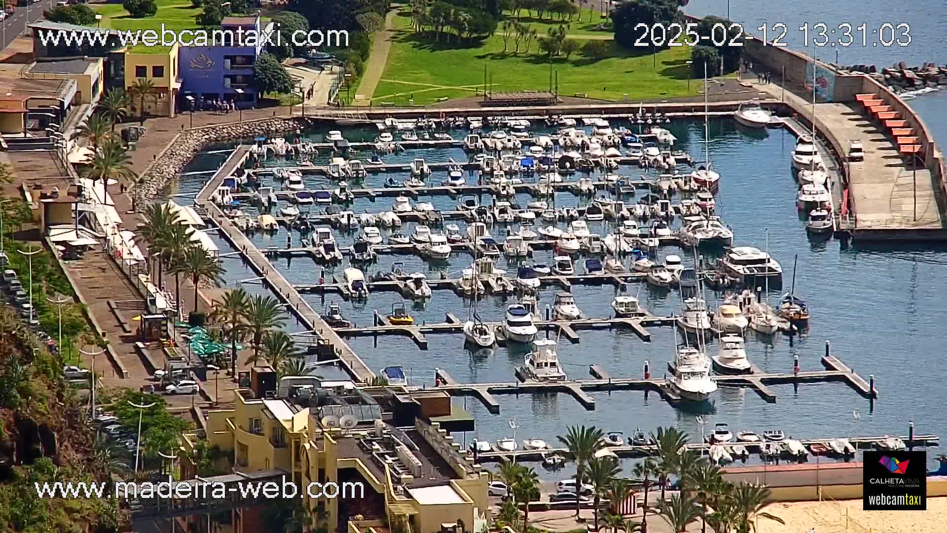 A marina filled with numerous boats and yachts is situated next to a shoreline with palm trees and buildings on a sunny day.