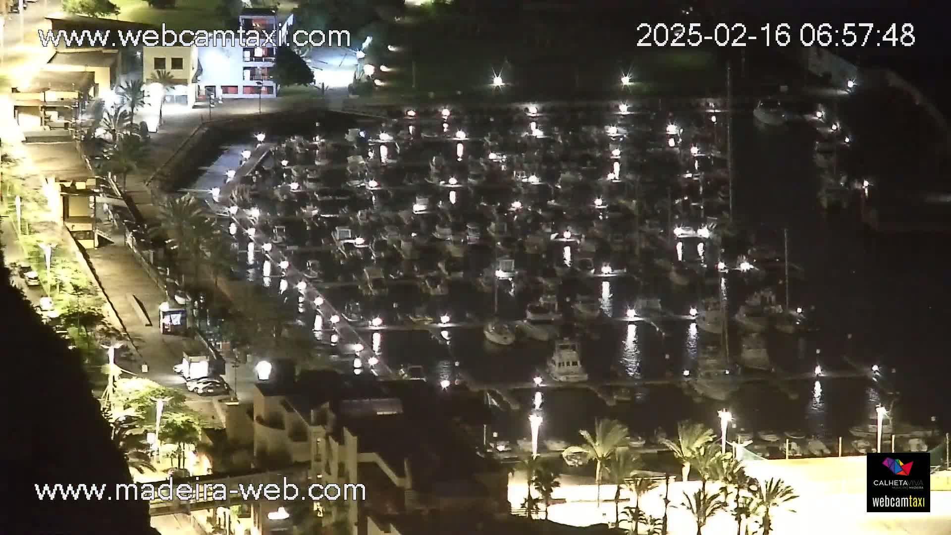 A nighttime, high-angle view of a marina filled with numerous boats, illuminated by lights, with palm trees and buildings visible along the shoreline.