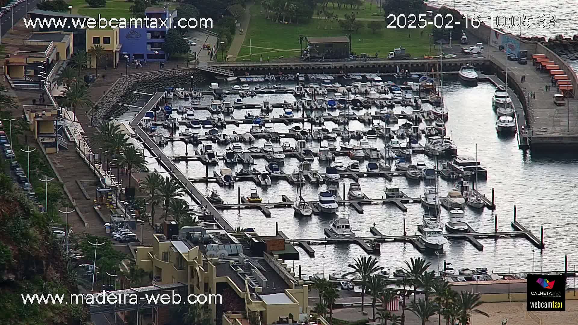 An aerial view of a marina filled with numerous boats on a calm, overcast day.