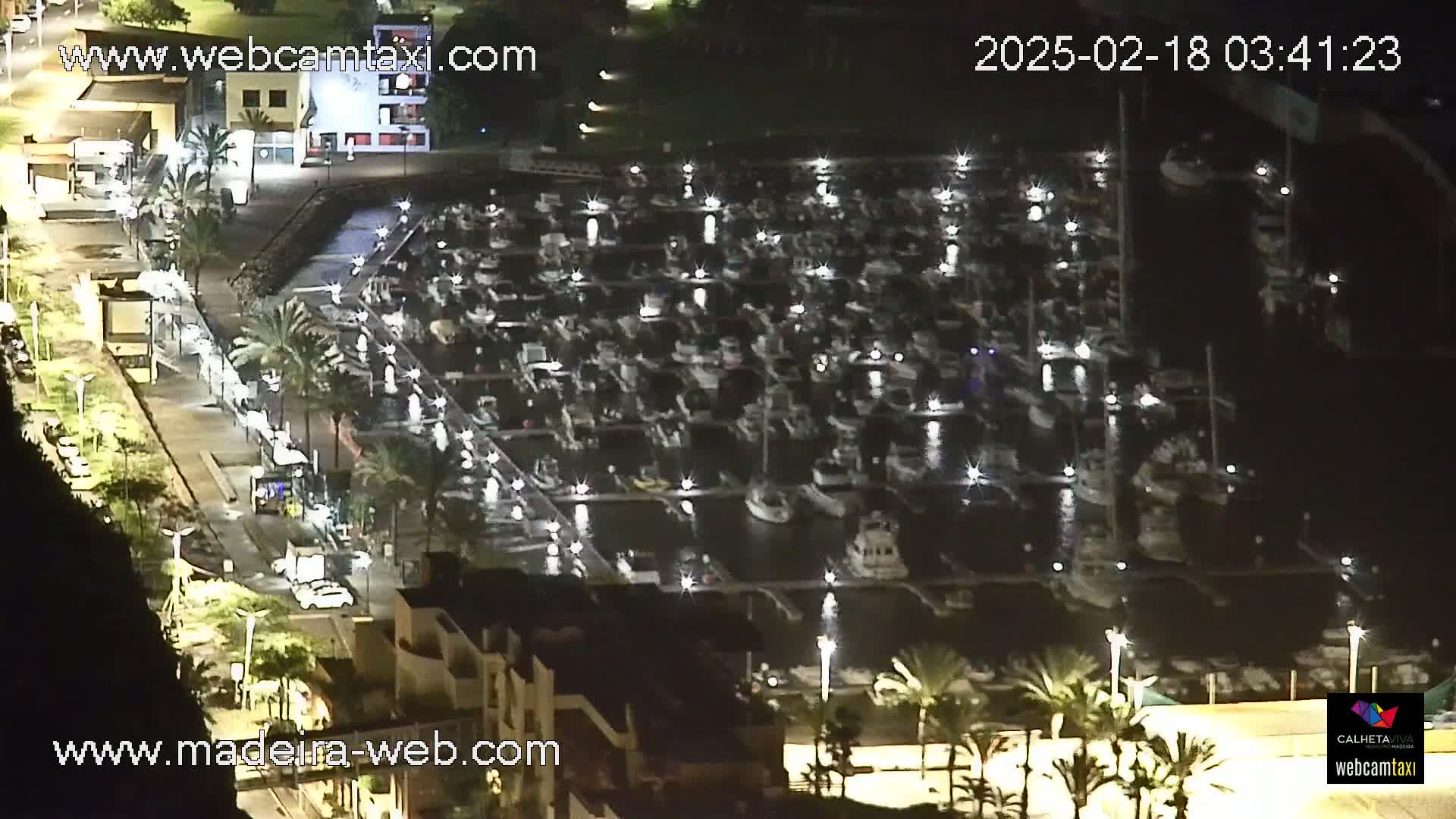 A nighttime aerial view of a marina filled with boats, illuminated by lights, next to a road and buildings.