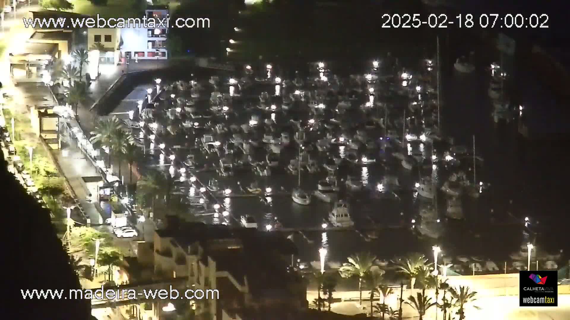 A nighttime aerial view shows a marina filled with numerous boats, illuminated by lights, and surrounded by buildings and palm trees.