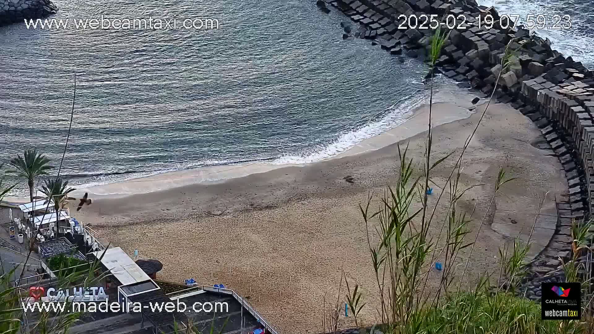 An aerial view shows a sandy beach with calm waves lapping the shore, partially protected by a stone seawall.