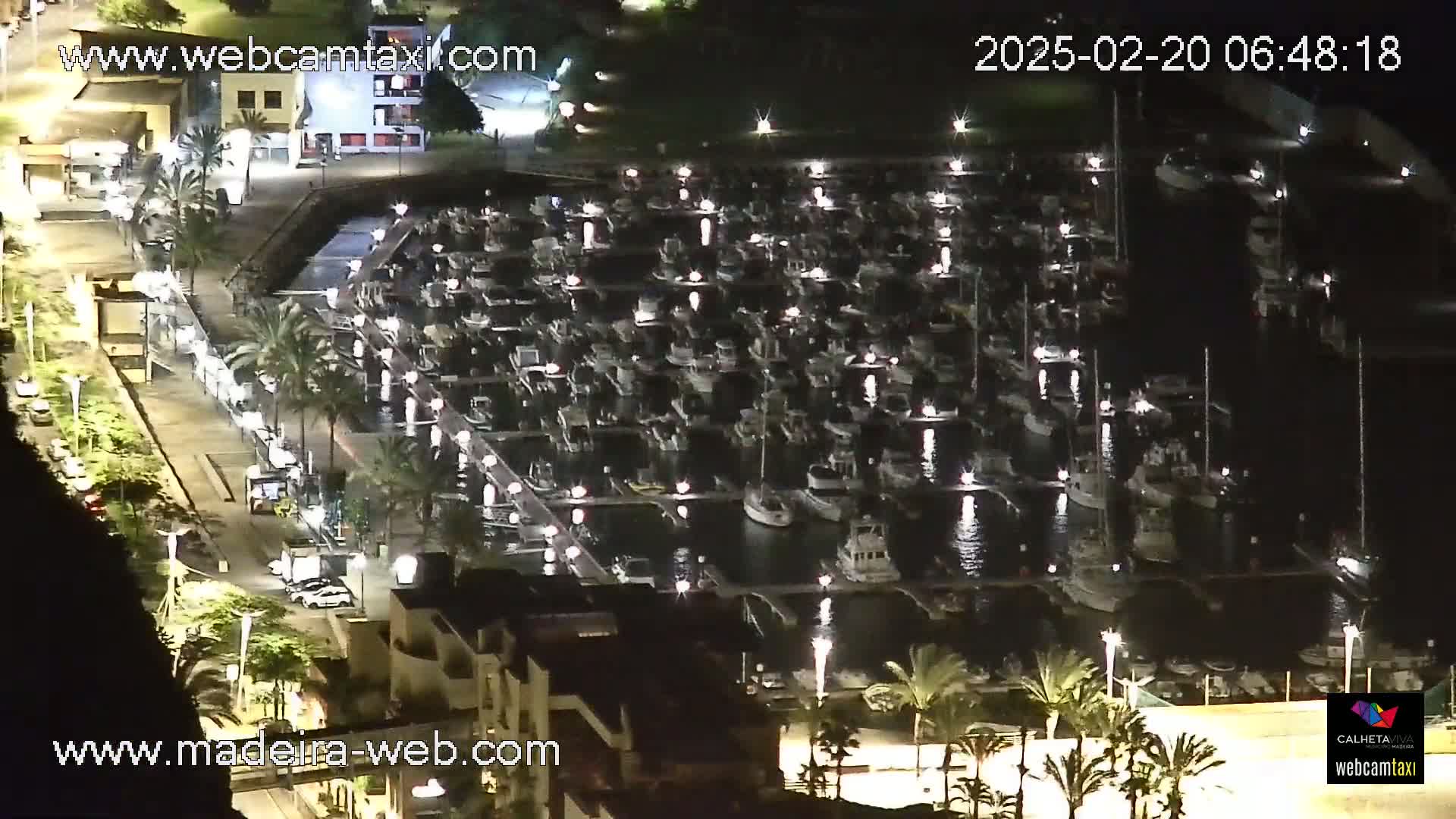 A nighttime, aerial view shows a marina filled with many boats docked at their slips, surrounded by palm trees and buildings along a roadway.