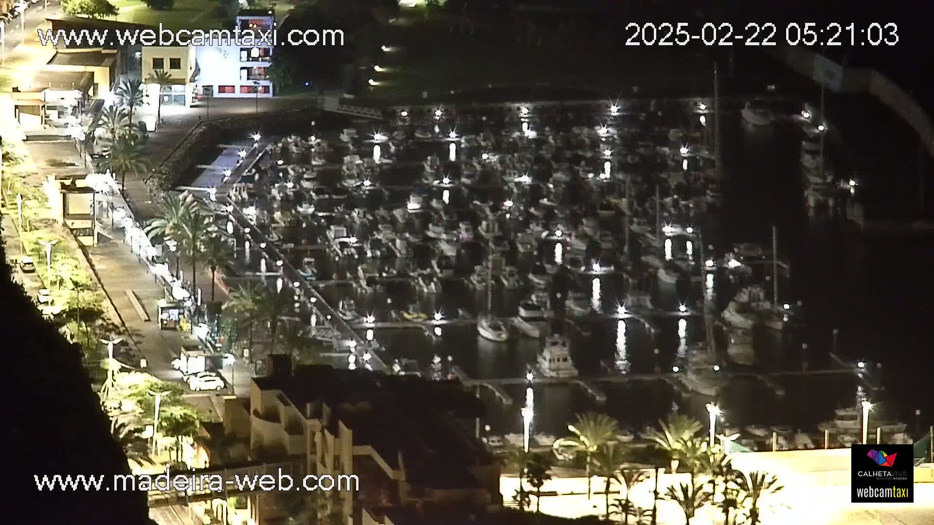 A nighttime aerial view of a marina filled with many boats docked, illuminated by lights, next to a road with parked cars and buildings.