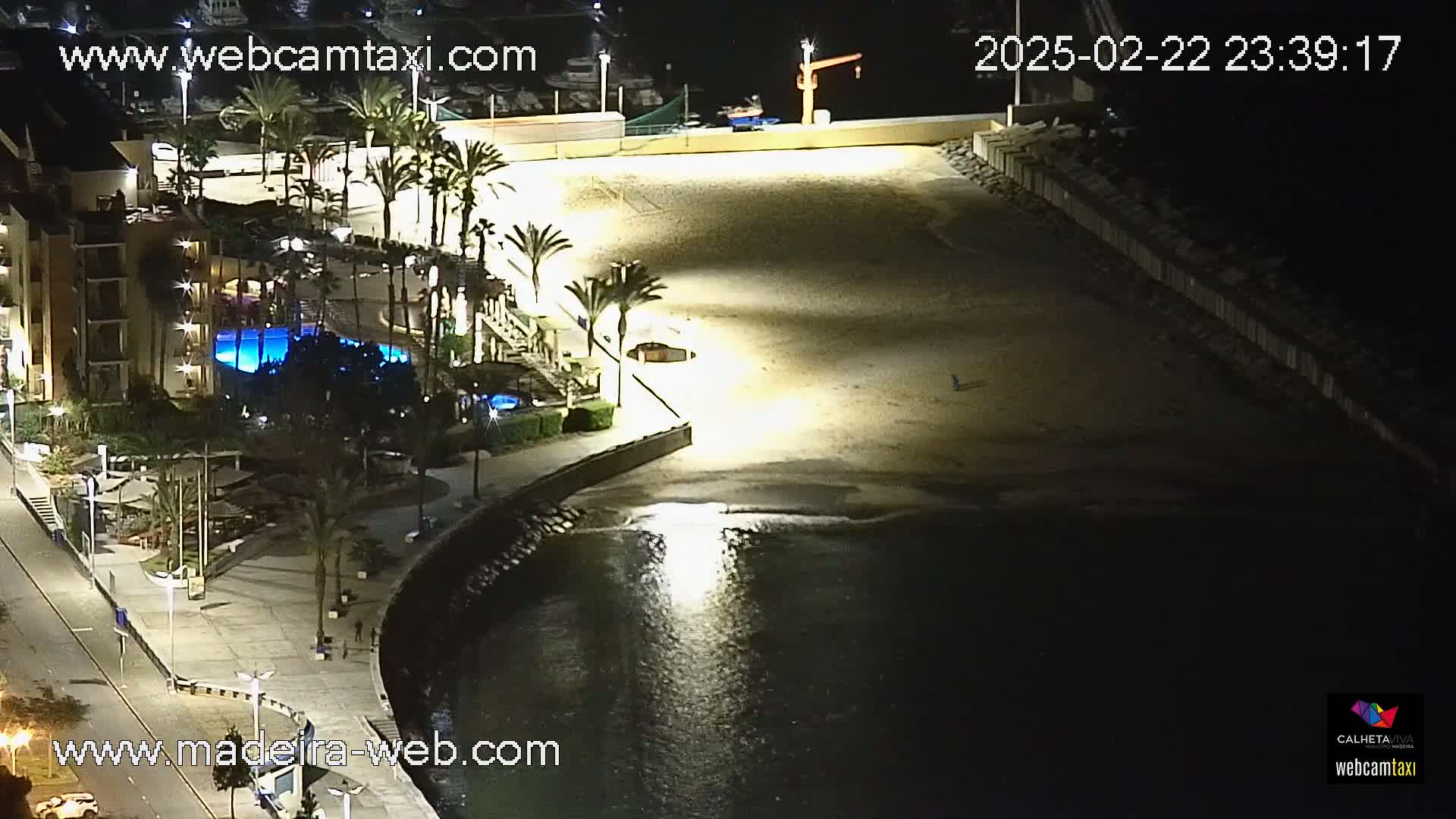 An illuminated, sandy beach at night next to a building with a pool and palm trees, bordered by dark water.